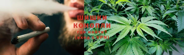 тгк Алексеевка