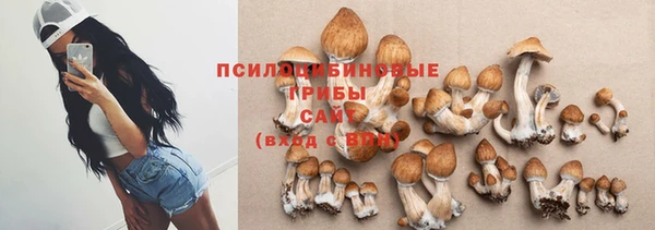 таблы Алексин