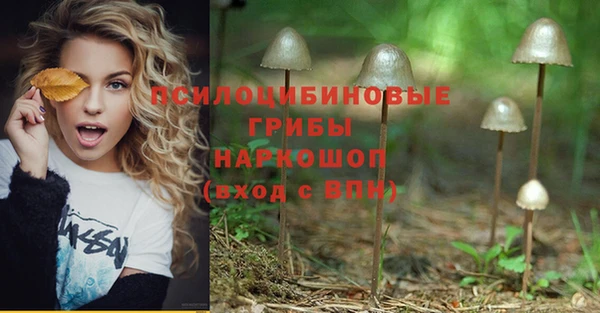 тгк Алексеевка