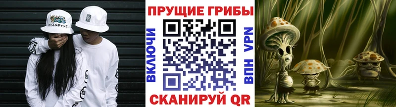 Псилоцибиновые грибы MAGIC MUSHROOMS  Цоци-Юрт 